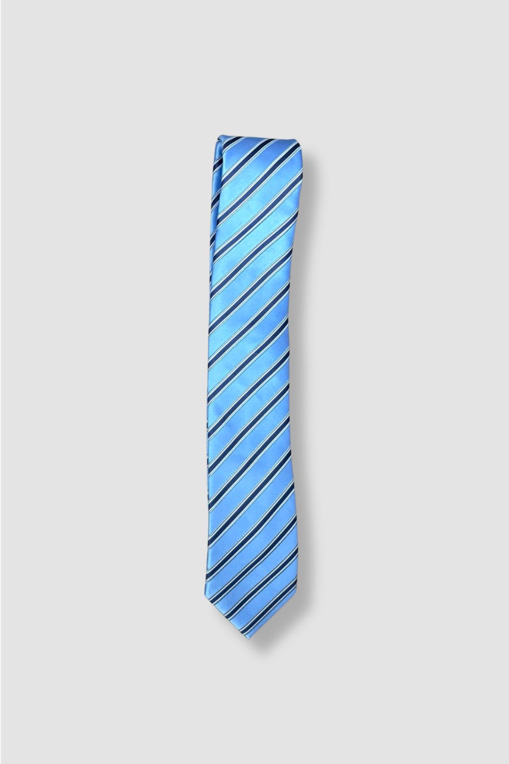 <b>HKCEC Securuty_AVSM</b>Unisex Blue & Navy Diagonal Line Tie TIE0022