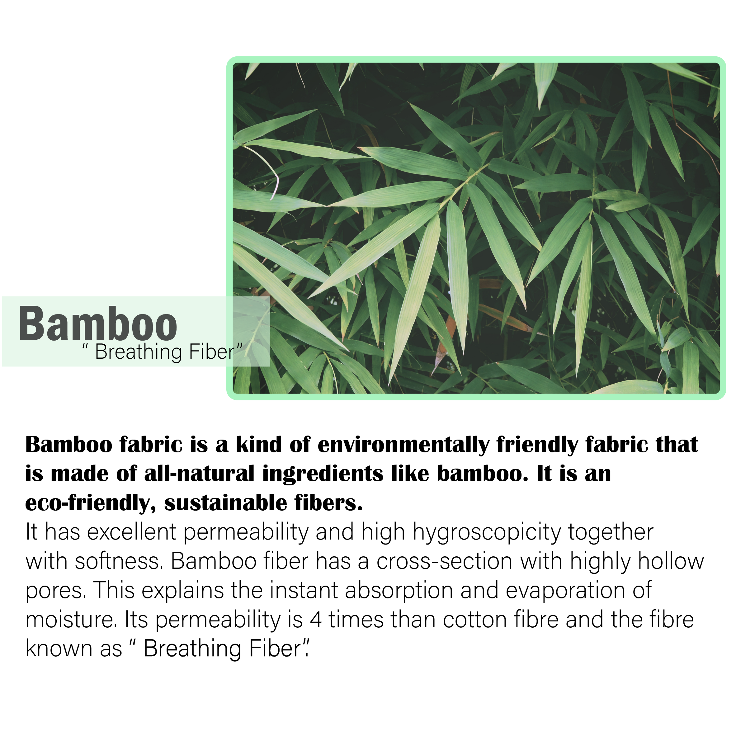 Trousers - <font size="3"><font color="green"> Eco Friendly Bamboo </font></font>