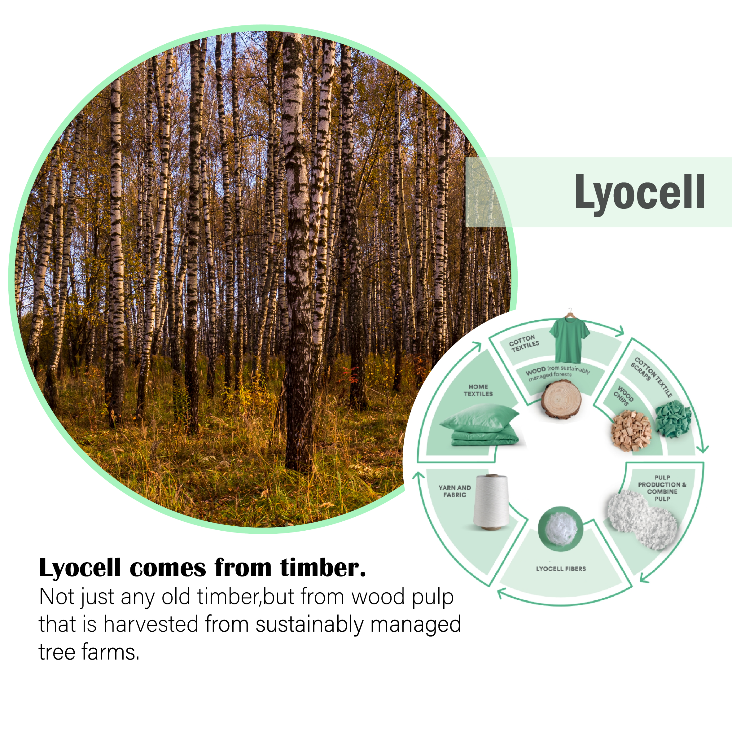 Trousers - <font size="3"><font color="green"> Sustainable Lyocell </font></font>